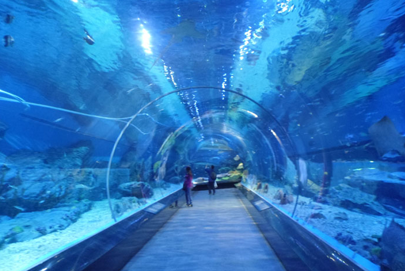 <b>水族工程，就選米樂</b>