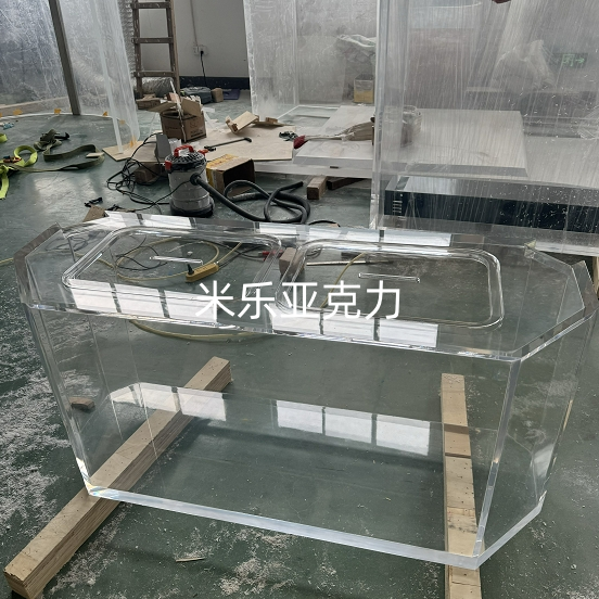 <b>不同類(lèi)型魚(yú)缸有何獨(dú)特之處</b>